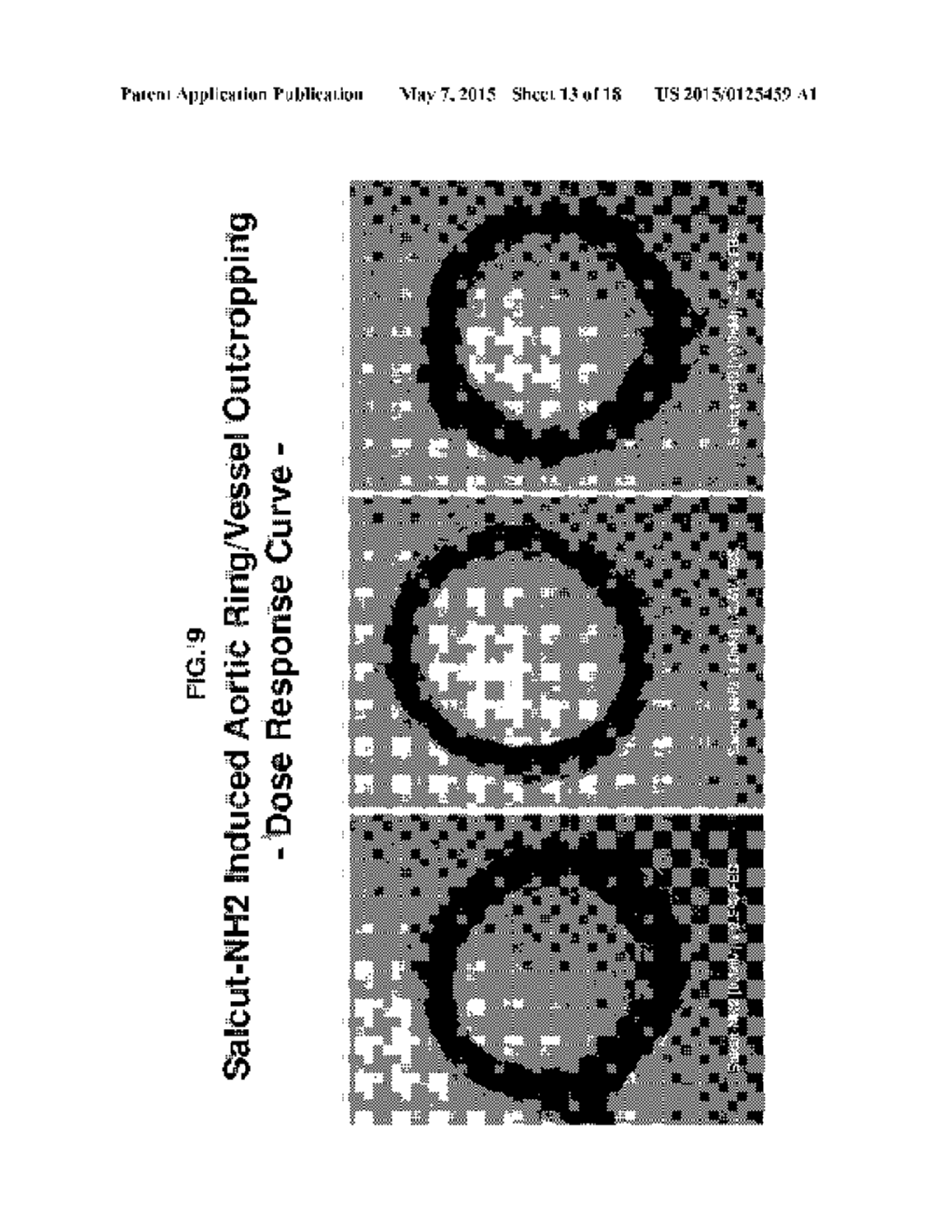 APELIN PEPTIDES, ANTIBODIES THERETO, AND METHODS OF USE - diagram, schematic, and image 14