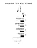 METHOD AND PHARMACEUTICAL COMPOSITION FOR USE IN THE TREATMENT AND     DIAGNOTIC OF ANEMIA OF INFLAMMATION diagram and image