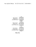 METHODS AND COMPOSITIONS USING LISTERIA FOR ENHANCING IMMUNOGENICITY BY     PRIME BOOST diagram and image