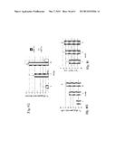 RETINAL PIGMENT EPITHELIAL CELLS DIFFERENTIATED FROM EMBRYONIC STEM CELLS     WITH NICOTINAMIDE AND ACTIVIN A diagram and image