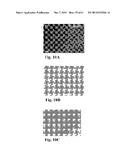 RETINAL PIGMENT EPITHELIAL CELLS DIFFERENTIATED FROM EMBRYONIC STEM CELLS     WITH NICOTINAMIDE AND ACTIVIN A diagram and image