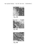 RETINAL PIGMENT EPITHELIAL CELLS DIFFERENTIATED FROM EMBRYONIC STEM CELLS     WITH NICOTINAMIDE AND ACTIVIN A diagram and image