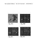 RETINAL PIGMENT EPITHELIAL CELLS DIFFERENTIATED FROM EMBRYONIC STEM CELLS     WITH NICOTINAMIDE AND ACTIVIN A diagram and image