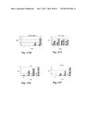 RETINAL PIGMENT EPITHELIAL CELLS DIFFERENTIATED FROM EMBRYONIC STEM CELLS     WITH NICOTINAMIDE AND ACTIVIN A diagram and image