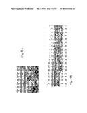 RETINAL PIGMENT EPITHELIAL CELLS DIFFERENTIATED FROM EMBRYONIC STEM CELLS     WITH NICOTINAMIDE AND ACTIVIN A diagram and image