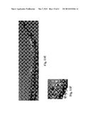 RETINAL PIGMENT EPITHELIAL CELLS DIFFERENTIATED FROM EMBRYONIC STEM CELLS     WITH NICOTINAMIDE AND ACTIVIN A diagram and image