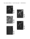 RETINAL PIGMENT EPITHELIAL CELLS DIFFERENTIATED FROM EMBRYONIC STEM CELLS     WITH NICOTINAMIDE AND ACTIVIN A diagram and image