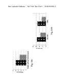 RETINAL PIGMENT EPITHELIAL CELLS DIFFERENTIATED FROM EMBRYONIC STEM CELLS     WITH NICOTINAMIDE AND ACTIVIN A diagram and image