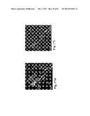 RETINAL PIGMENT EPITHELIAL CELLS DIFFERENTIATED FROM EMBRYONIC STEM CELLS     WITH NICOTINAMIDE AND ACTIVIN A diagram and image