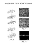 BIOMATERIALS FOR ENHANCED IMPLANT-HOST INTEGRATION diagram and image