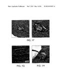 BIOMATERIALS FOR ENHANCED IMPLANT-HOST INTEGRATION diagram and image