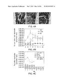 BIOMATERIALS FOR ENHANCED IMPLANT-HOST INTEGRATION diagram and image