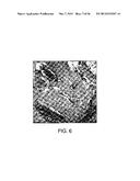 BIOMATERIALS FOR ENHANCED IMPLANT-HOST INTEGRATION diagram and image