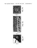 BIOMATERIALS FOR ENHANCED IMPLANT-HOST INTEGRATION diagram and image
