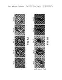 BIOMATERIALS FOR ENHANCED IMPLANT-HOST INTEGRATION diagram and image