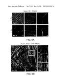 BIOMATERIALS FOR ENHANCED IMPLANT-HOST INTEGRATION diagram and image