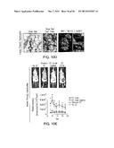 BIOMATERIALS FOR ENHANCED IMPLANT-HOST INTEGRATION diagram and image