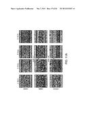 BIOMATERIALS FOR ENHANCED IMPLANT-HOST INTEGRATION diagram and image