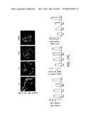 BIOMATERIALS FOR ENHANCED IMPLANT-HOST INTEGRATION diagram and image