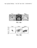 BIOMATERIALS FOR ENHANCED IMPLANT-HOST INTEGRATION diagram and image