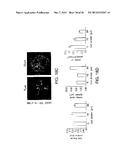 BIOMATERIALS FOR ENHANCED IMPLANT-HOST INTEGRATION diagram and image