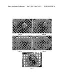 Surface-active Glasses as Regenerative Anti-fouling Materials diagram and image