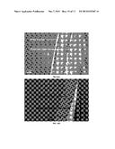 Surface-active Glasses as Regenerative Anti-fouling Materials diagram and image