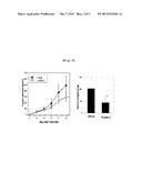 COMPOSITION FOR PREVENTING OR TREATING CANCER CONTAINING EXTRACTS OF     ARTOCARPUS ALTILIS FRUITS, LEAVES, OR STEMS, OR FRACTIONS THEREOF AS     ACTIVE INGREDIENTS diagram and image