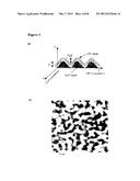 TOPOLOGICALLY STRUCTURED POLYMER COATING diagram and image