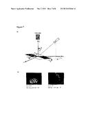 TOPOLOGICALLY STRUCTURED POLYMER COATING diagram and image