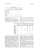 RECHARGEABLE LITHIUM ION BATTERY diagram and image