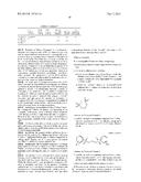 RECHARGEABLE LITHIUM ION BATTERY diagram and image