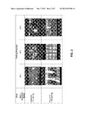 Corrosion Resistant Positive Grid for Lead-Acid Batteries diagram and image