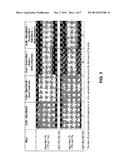 Corrosion Resistant Positive Grid for Lead-Acid Batteries diagram and image