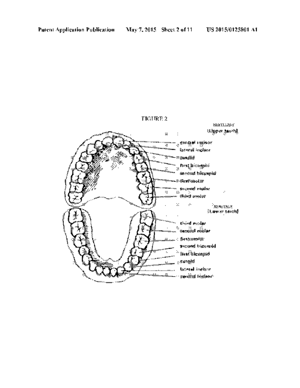 DUAL HEAD CONNECTOR - diagram, schematic, and image 03