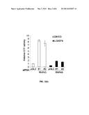 CANCER PATIENT SELECTION FOR ADMINISTRATION OF Wnt SIGNALING INHIBITORS     USING RNF43 MUTATION STATUS diagram and image