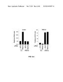 CANCER PATIENT SELECTION FOR ADMINISTRATION OF Wnt SIGNALING INHIBITORS     USING RNF43 MUTATION STATUS diagram and image