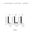 CANCER PATIENT SELECTION FOR ADMINISTRATION OF Wnt SIGNALING INHIBITORS     USING RNF43 MUTATION STATUS diagram and image