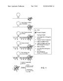 ISOLATION OF RNA-PROTEIN COMPLEXES USING CROSS-LINKING REAGENTS AND     OLIGONUCLEOTIDES diagram and image