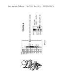 Aptamers for Clostridium Difficile Diagnostics diagram and image