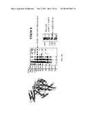 Aptamers for Clostridium Difficile Diagnostics diagram and image