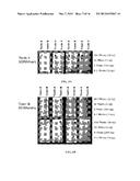 Aptamers for Clostridium Difficile Diagnostics diagram and image