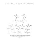 Aptamers for Clostridium Difficile Diagnostics diagram and image