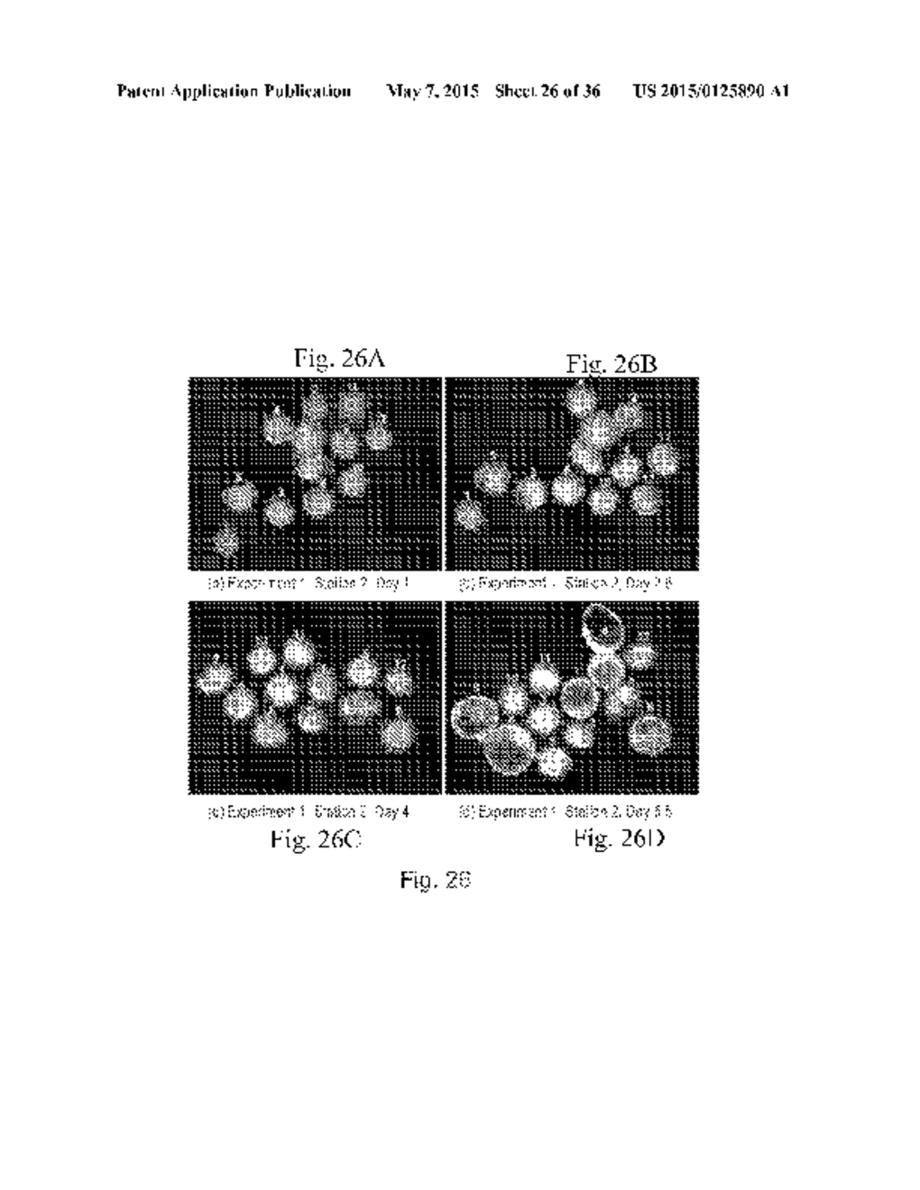 IMAGING AND EVALUATING EMBRYOS, OOCYTES, AND STEM CELLS - diagram, schematic, and image 27