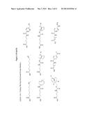 PROBE INCORPORATION MEDIATED BY ENZYMES diagram and image