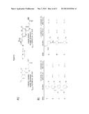 PROBE INCORPORATION MEDIATED BY ENZYMES diagram and image