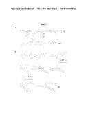 PROBE INCORPORATION MEDIATED BY ENZYMES diagram and image