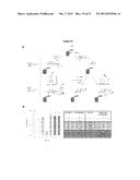 PROBE INCORPORATION MEDIATED BY ENZYMES diagram and image