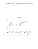 PROBE INCORPORATION MEDIATED BY ENZYMES diagram and image