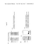 PROBE INCORPORATION MEDIATED BY ENZYMES diagram and image